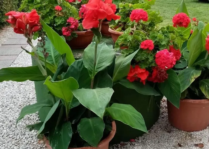 Am By Interhome Дом отдыха *